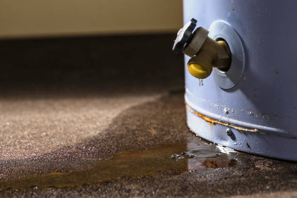 Best Water damage restoration company  in Brea, CA
