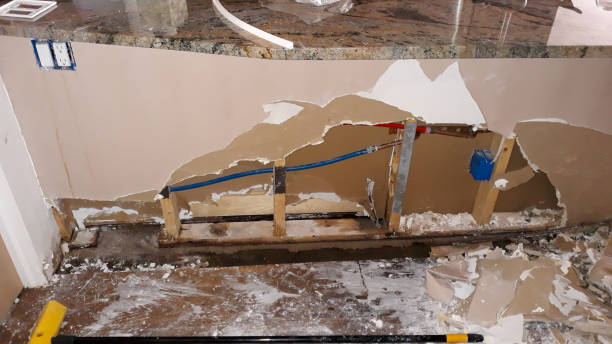 Best Flooded house restoration  in Brea, CA