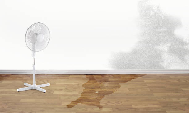 Best Water damage restoration near me  in Brea, CA