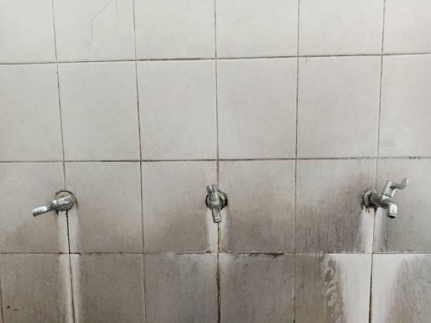 Best Water damage restoration specialists  in Brea, CA