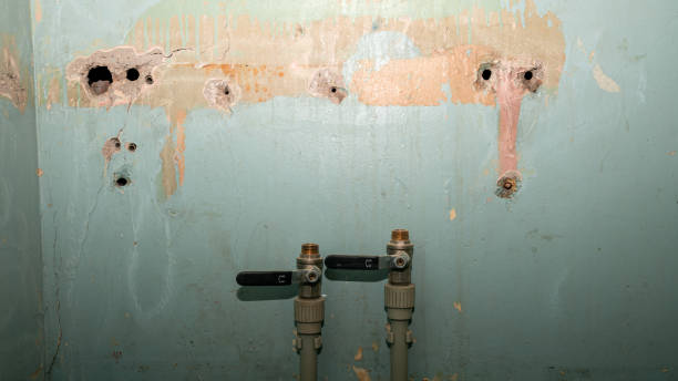 Trusted Brea, CA Water damage restoration Experts